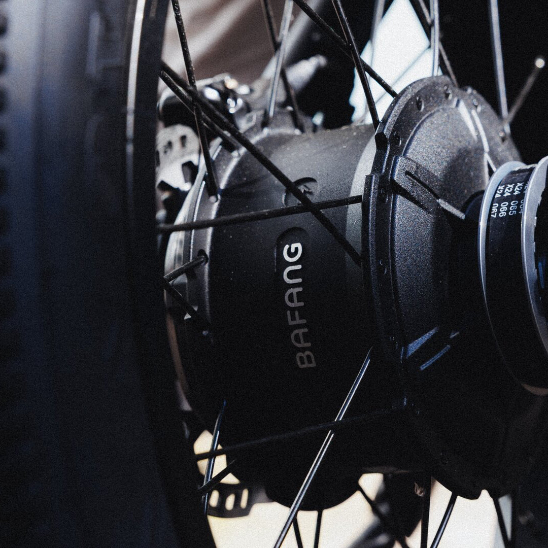 coopop-sig-fatbike-off-road-cycling.jpg